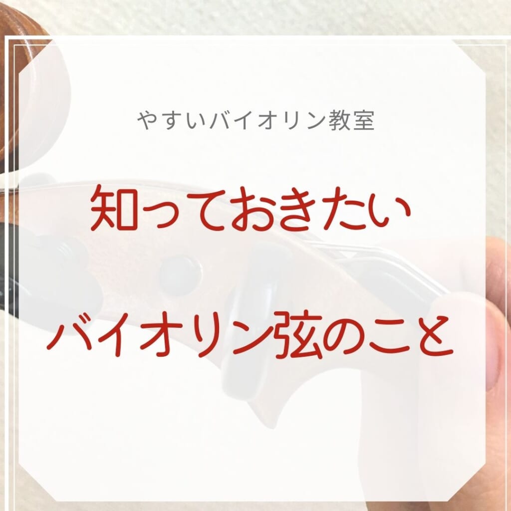 バイオリン 弦 パッシオーネ A.D.G線 苦し